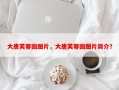 大唐芙蓉园图片，大唐芙蓉园图片简介？