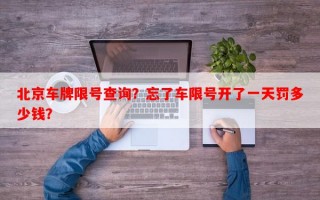 北京车牌限号查询？忘了车限号开了一天罚多少钱？
