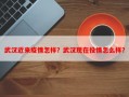 武汉近来疫情怎样？武汉现在役情怎么样？