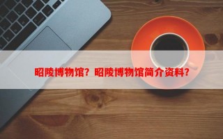 昭陵博物馆？昭陵博物馆简介资料？