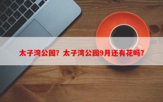 太子湾公园？太子湾公园9月还有花吗？