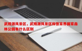 武陵源风景区，武陵源风景区和张家界国家森林公园有什么区别