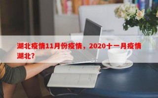 湖北疫情11月份疫情，2020十一月疫情湖北？