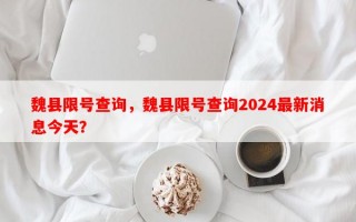 魏县限号查询，魏县限号查询2024最新消息今天？