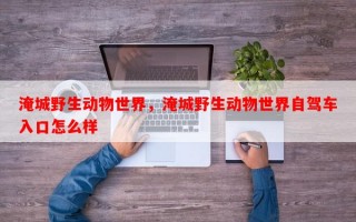 淹城野生动物世界，淹城野生动物世界自驾车入口怎么样