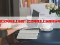 武汉玛雅水上乐园？武汉玛雅水上乐园好玩吗？