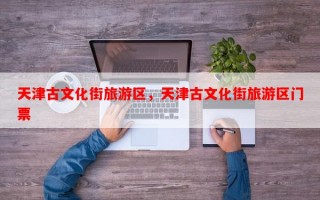 天津古文化街旅游区，天津古文化街旅游区门票