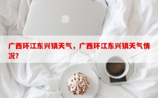 广西环江东兴镇天气，广西环江东兴镇天气情况？