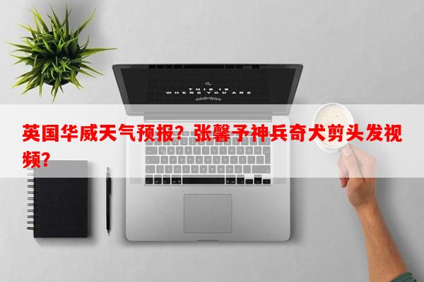 英国华威天气预报？张馨予神兵奇犬剪头发视频？-第1张图片-和瑞百科