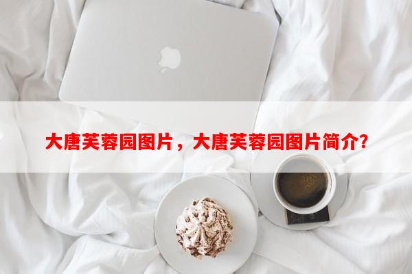 大唐芙蓉园图片，大唐芙蓉园图片简介？-第1张图片-和瑞百科