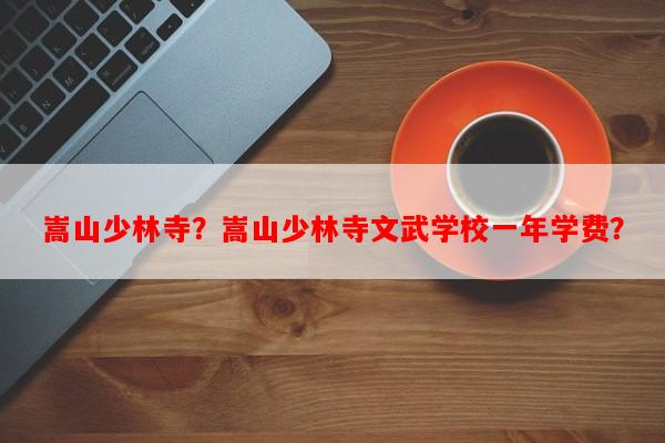 嵩山少林寺？嵩山少林寺文武学校一年学费？-第1张图片-和瑞百科