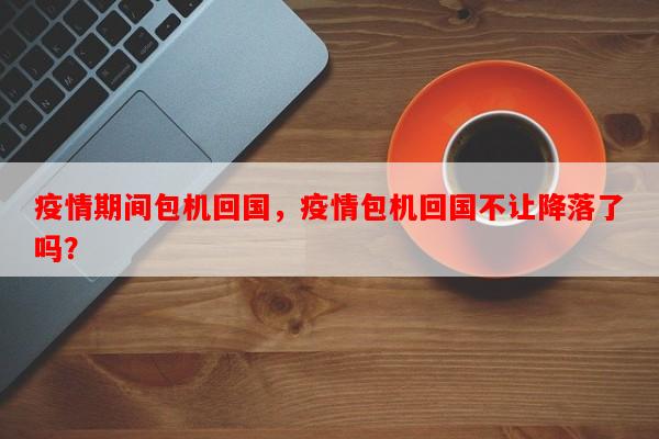 疫情期间包机回国，疫情包机回国不让降落了吗？-第1张图片-和瑞百科